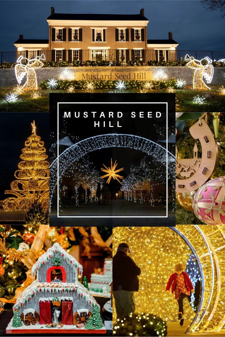 Christmas Bliss at Mustard Seed Hill Backroad Bluegrass Kentucky