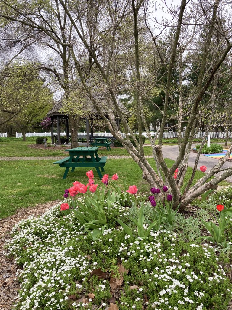 top_reasons_to_visit_owensboro_gardens-4877814