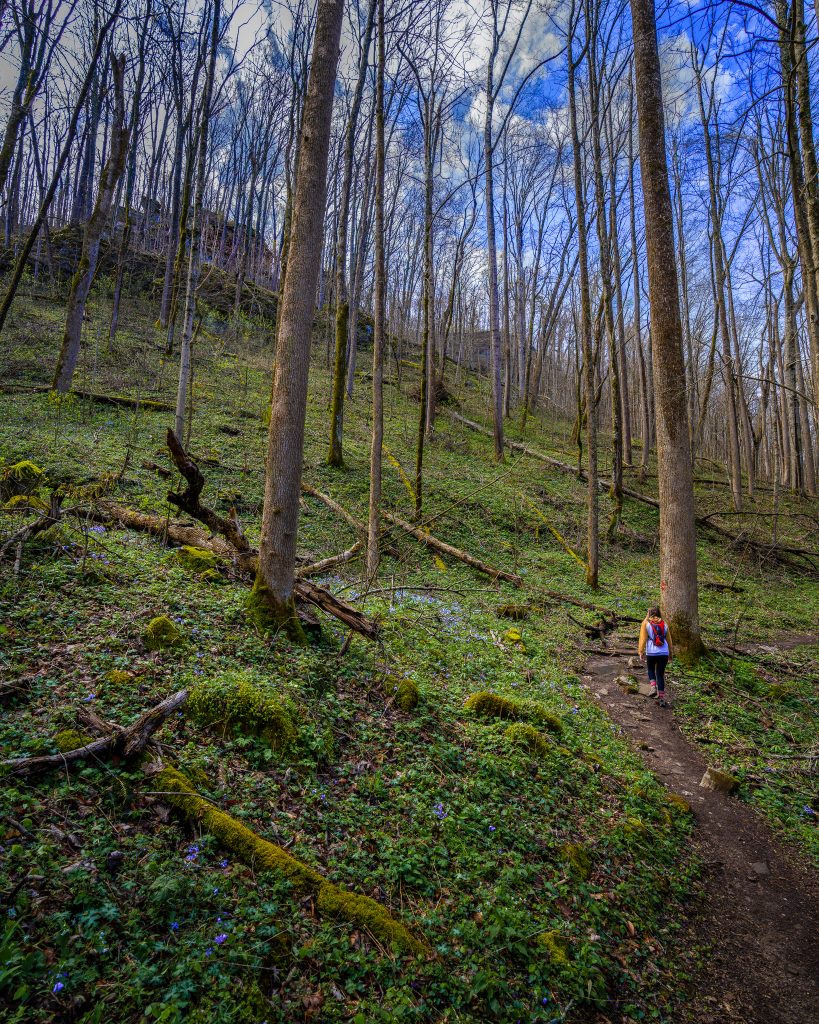 best_kentucky_hiking_destinatons_-anglin-falls-trail-2-1878084