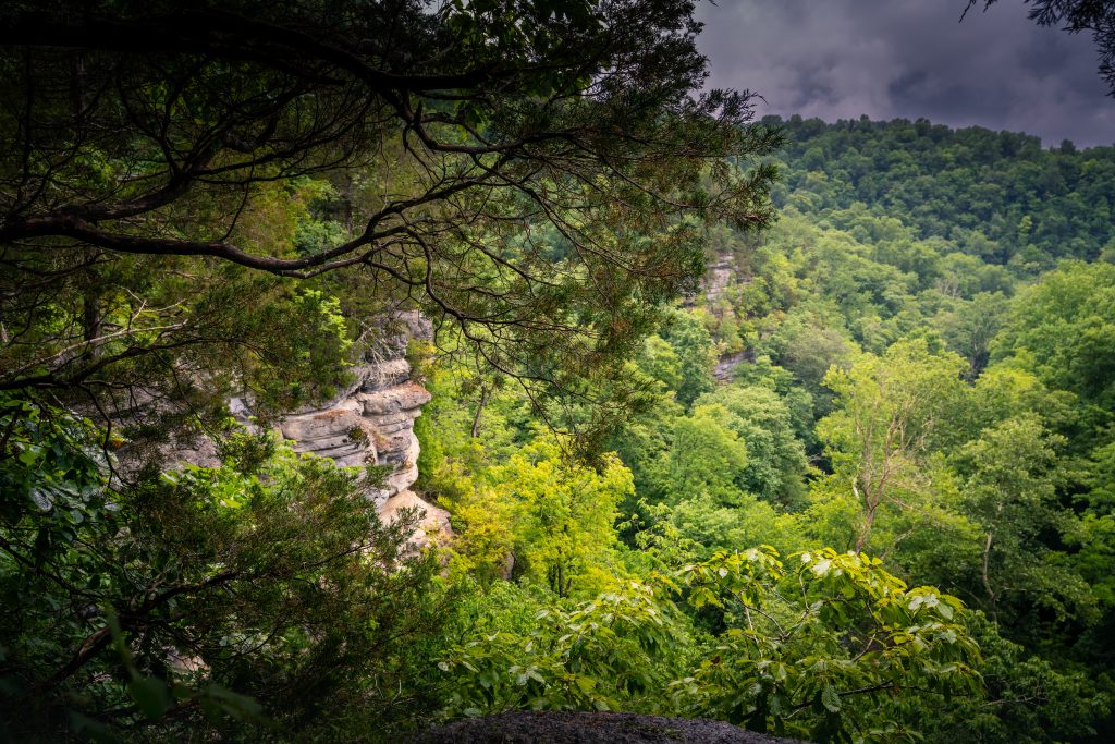 best_kentucky_hiking_destinatons_-jessamine-creek-gorge-trail-2-7596634